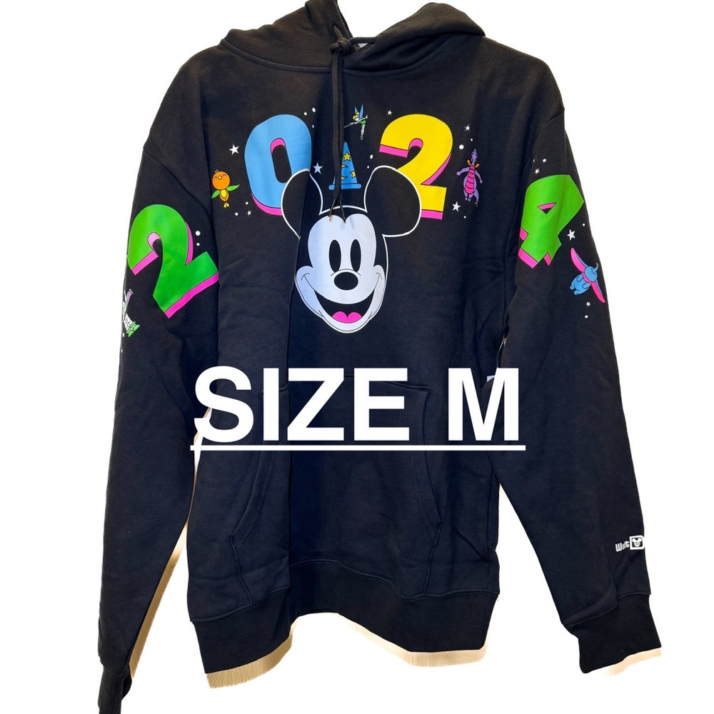 Walt Disney World Hoodie M